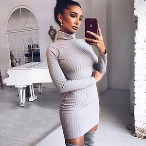 Long Sleeve Elastic Knitted Dress